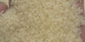 Broken Parboiled Rice