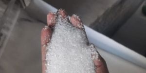 White S30 Refined Sugar