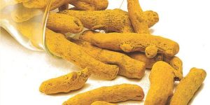 Salem Turmeric Finger