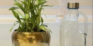 Tabletop Flower Vase