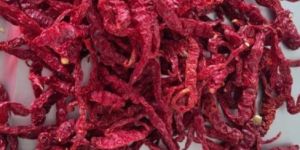 Dry Red Chilli