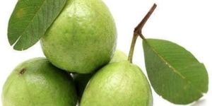 Fresh Sweet Guava
