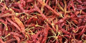 Dried Red Chili
