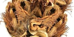 Dried Semal Phool