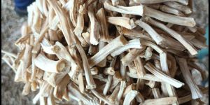 Dried Shatavari Roots