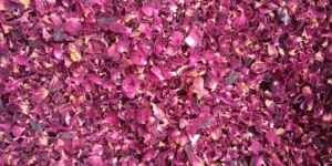 Dry Rose Petals