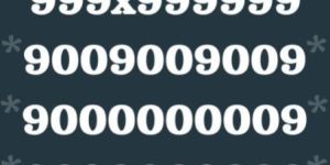 Prepaid Mobile Connection Services