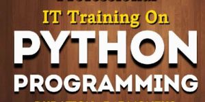 Python Programming Training