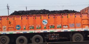 Transportaion Service