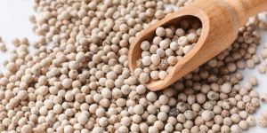 White Pepper Seeds