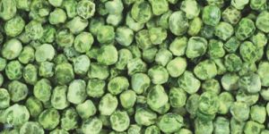 Dehydrated Green Peas