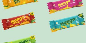 Mango Fruit Pulp Bar (Sugar Free Variant Available)