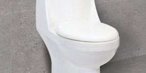 Ceramic Indian Toilet Seat