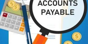 Accounts Payable Service