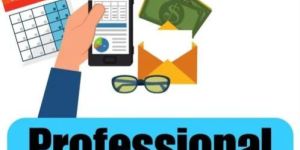 Professional Tax Report Service