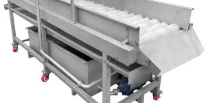 Continuous Type Vegetable Brush Washer