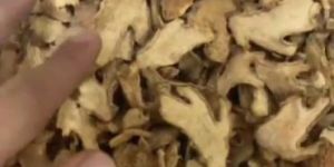 Dry Ginger
