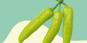 Green Chili