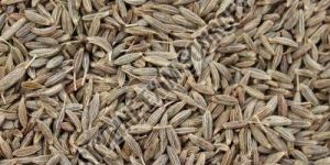 Cumin Seeds