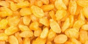 Yellow Dried Raisin