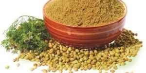 Dehydrated Coriander Powder