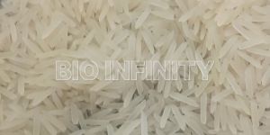 1509 Basmati Rice