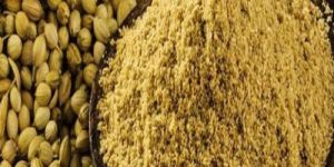 Dhaniya Powder