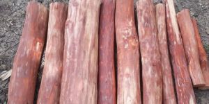 Round Red Sandalwood Log