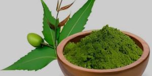 Neem Powder