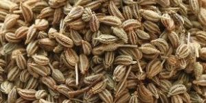 Ajwain Seeds