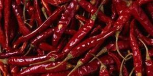 Guntur Dry Red Chilli