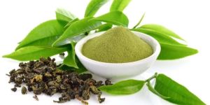 Green Tea Leaves Powder