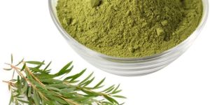 Tea Tree Powder