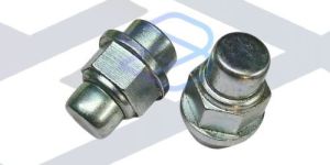 Bajaj Re Compact Front Axle Nut