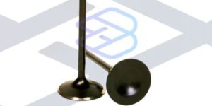 TVS HLX Engine Valve