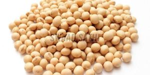 Soyabean Seeds