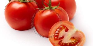 Fresh Organic Tomato