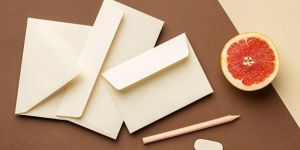 Customizable Paper 10 Envelope (Long)