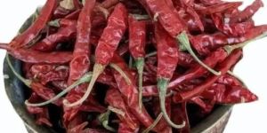 Dried Byadgi Red Chilli