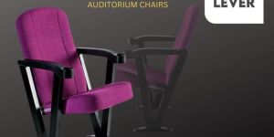 VEE Auditorium Chair