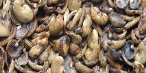 Cashew Shells