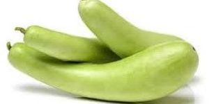 Fresh Bottle Gourd