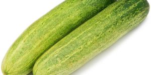 Fresh Cucumber