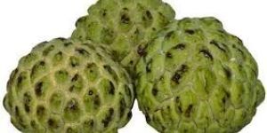 Fresh Custard Apple
