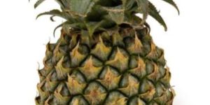 Fresh Pineapple