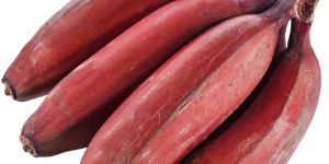 Fresh Red Banana