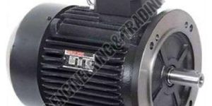 Flanged Type Motor