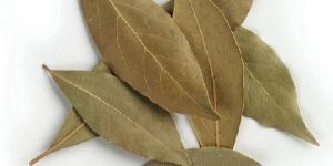 Dried Bay Leaves