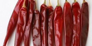 Teja Stemmed Dried Red Chilli