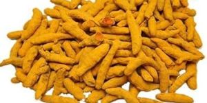 Turmeric Finger